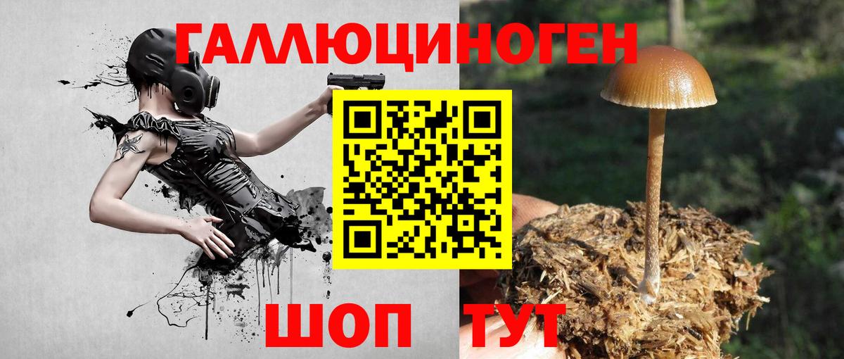 Йошкар-Ола  Галлюциногенные грибы прущие грибы  Вход с VPN 