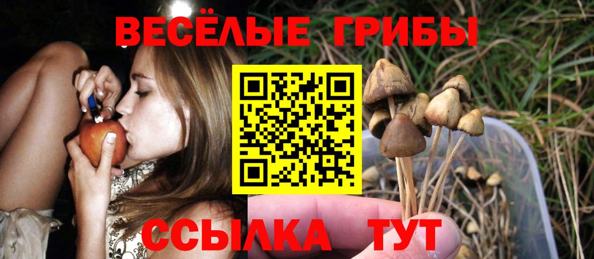 Галлюциногенные грибы Cubensis Йошкар-Ола