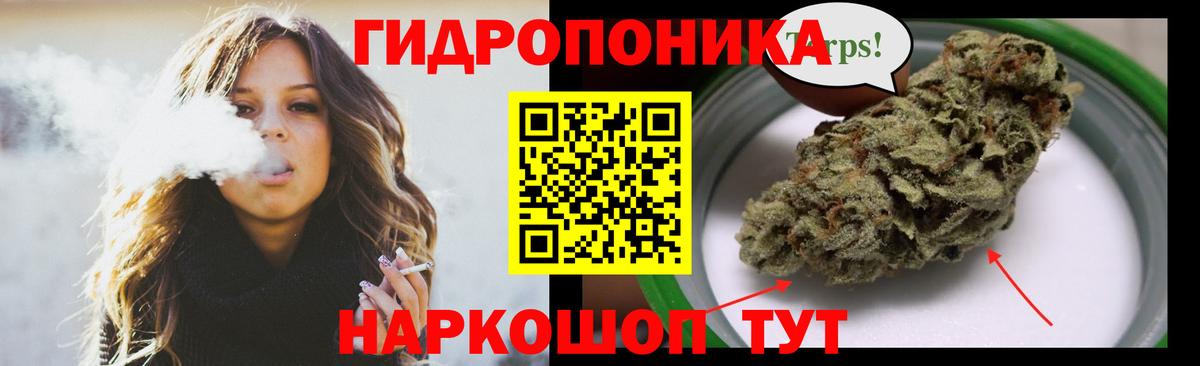 Йошкар-Ола  Бошки марихуана планчик  Марихуана план  Вход с VPN  Шишки марихуана план 